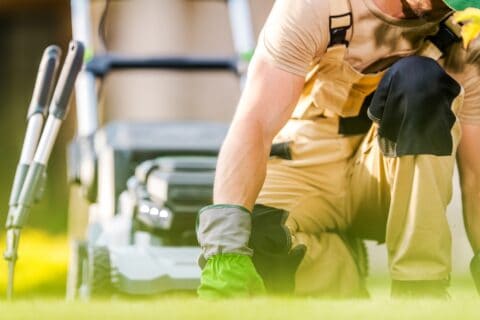lawn-disease-control-in-johnson-county