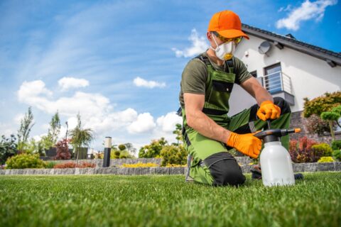 lawn-insecticide-in-kansas-city